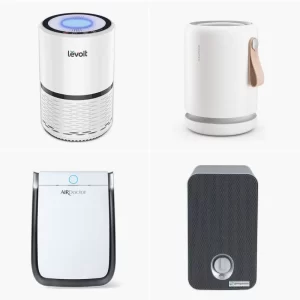 Portable Air Purifier