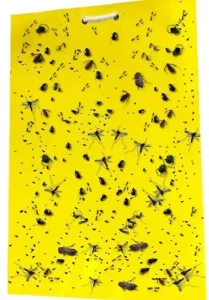 Double-Sided Yellow Sticky Flying Pest Insect Trap