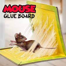 Glue Book Mouse Traps