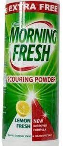 Morning Fresh Scouring Powder 500G