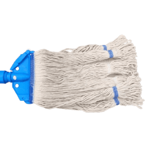 Kentucky mophead