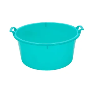 GIANT BASIN