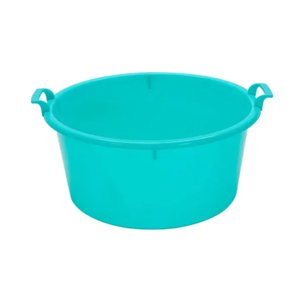 GIANT BASIN