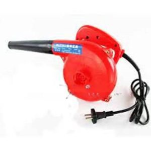 Electric Blower 700 Watts