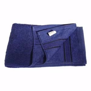Camel Hand Towel 40X65 Assorted Colors